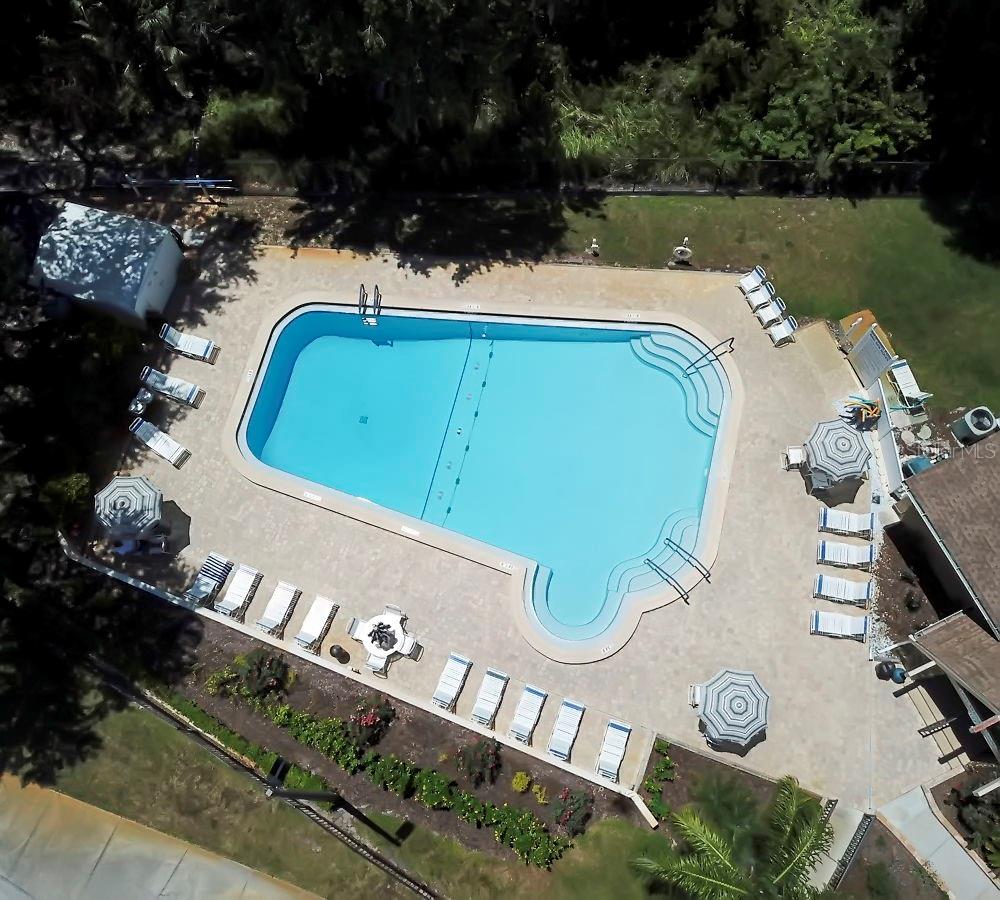 2954 CURLING CT, PALM HARBOR, FL, 34684