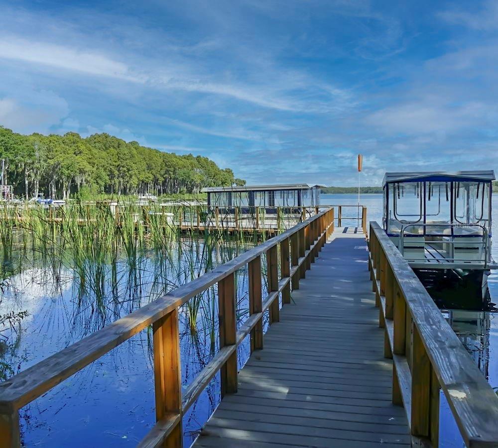 2954 CURLING CT, PALM HARBOR, FL, 34684