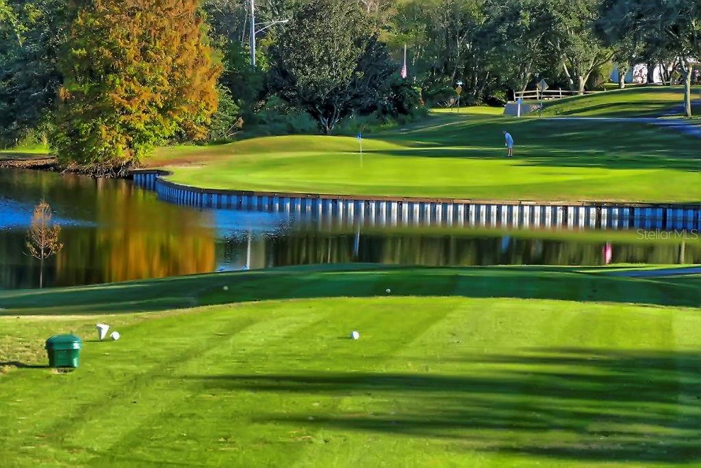 2954 CURLING CT, PALM HARBOR, FL, 34684