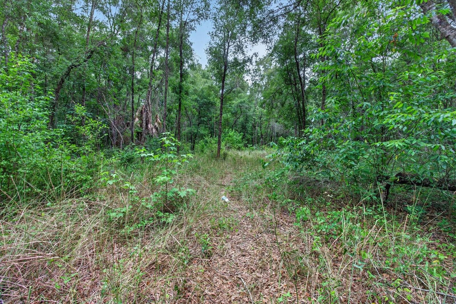 0 CORTEZ BLVD, BROOKSVILLE, FL, 34601