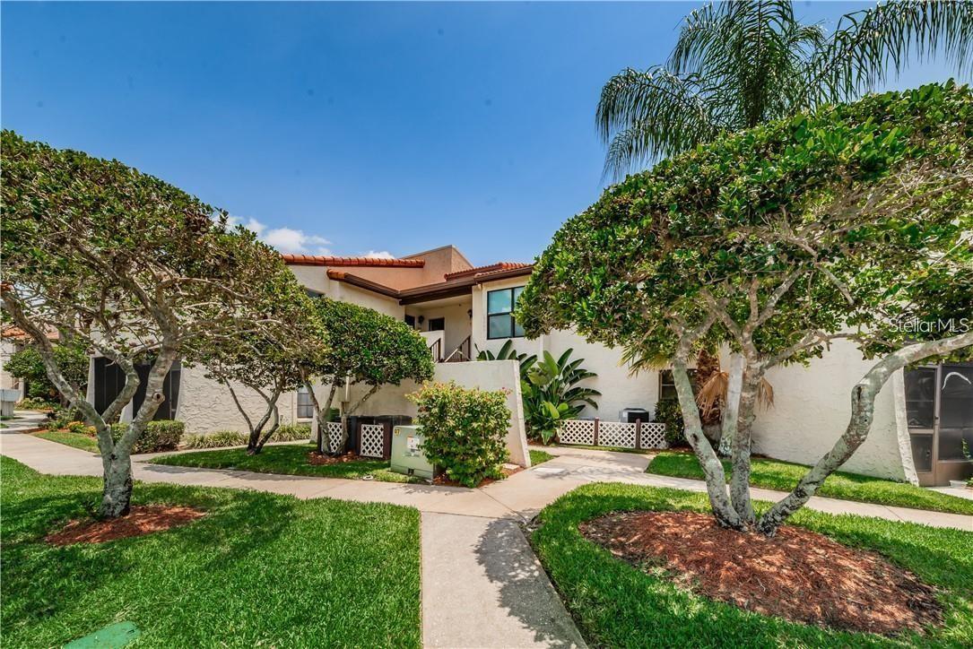 2595 CYPRUS DR #4-217, PALM HARBOR, FL, 34684
