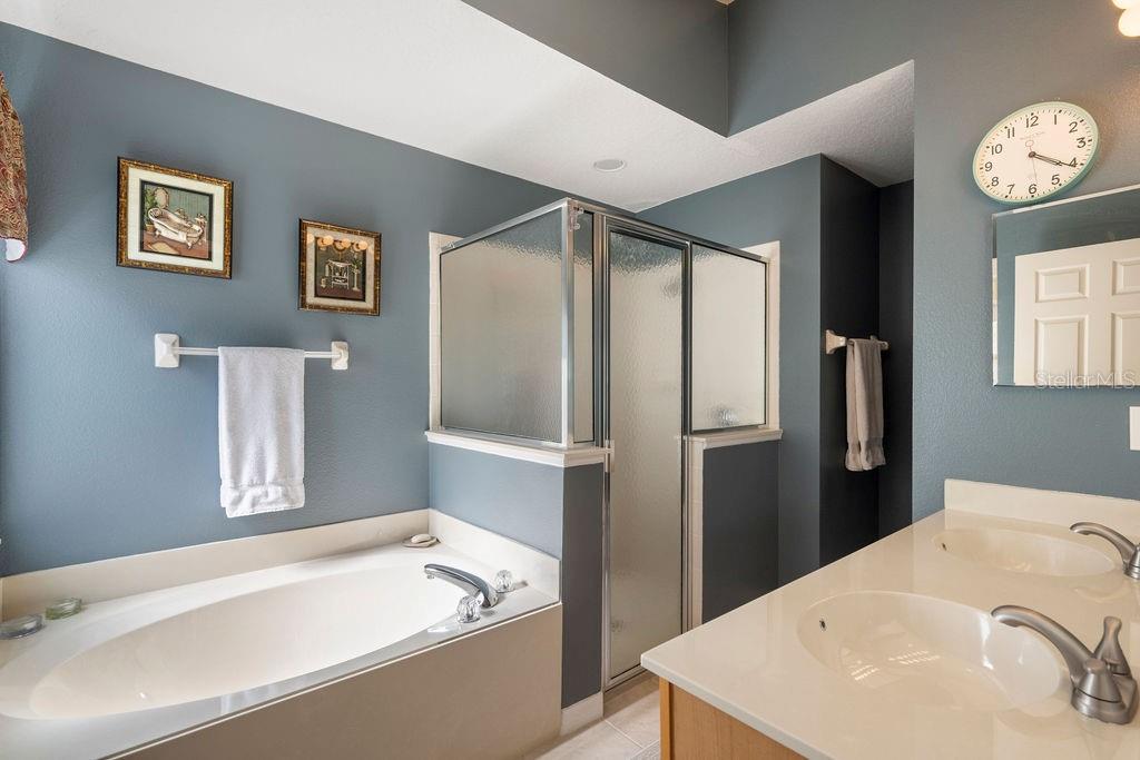 423 SYCAMORE SPRINGS ST, DEBARY, FL, 32713