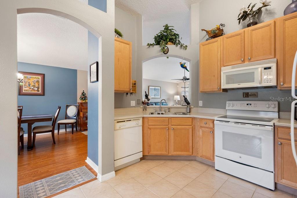 423 SYCAMORE SPRINGS ST, DEBARY, FL, 32713
