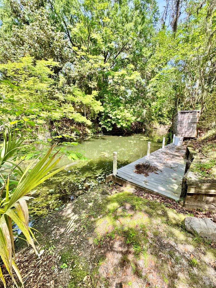 30391 NE 97TH PL, SALT SPRINGS, FL, 32134