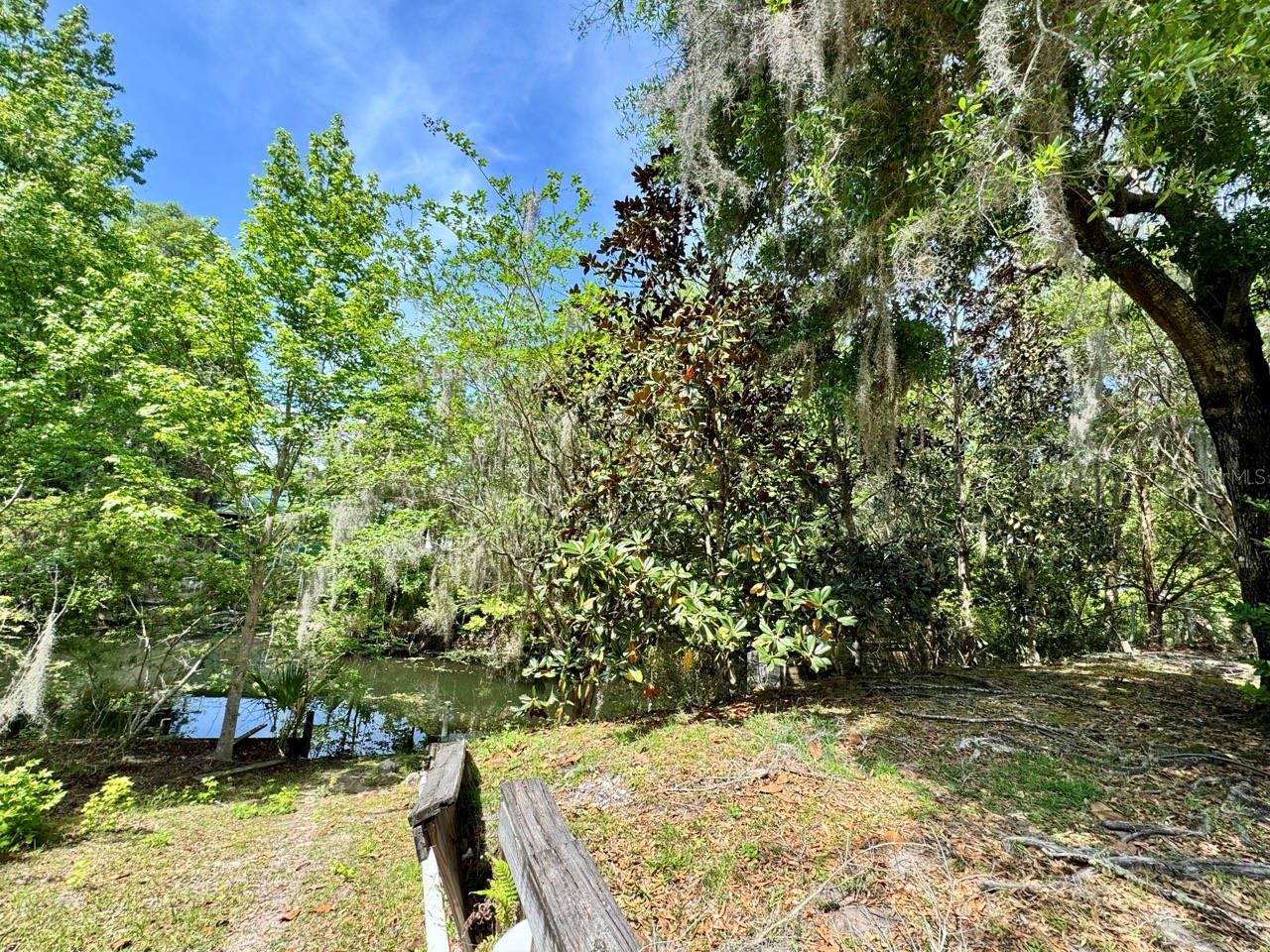 30391 NE 97TH PL, SALT SPRINGS, FL, 32134