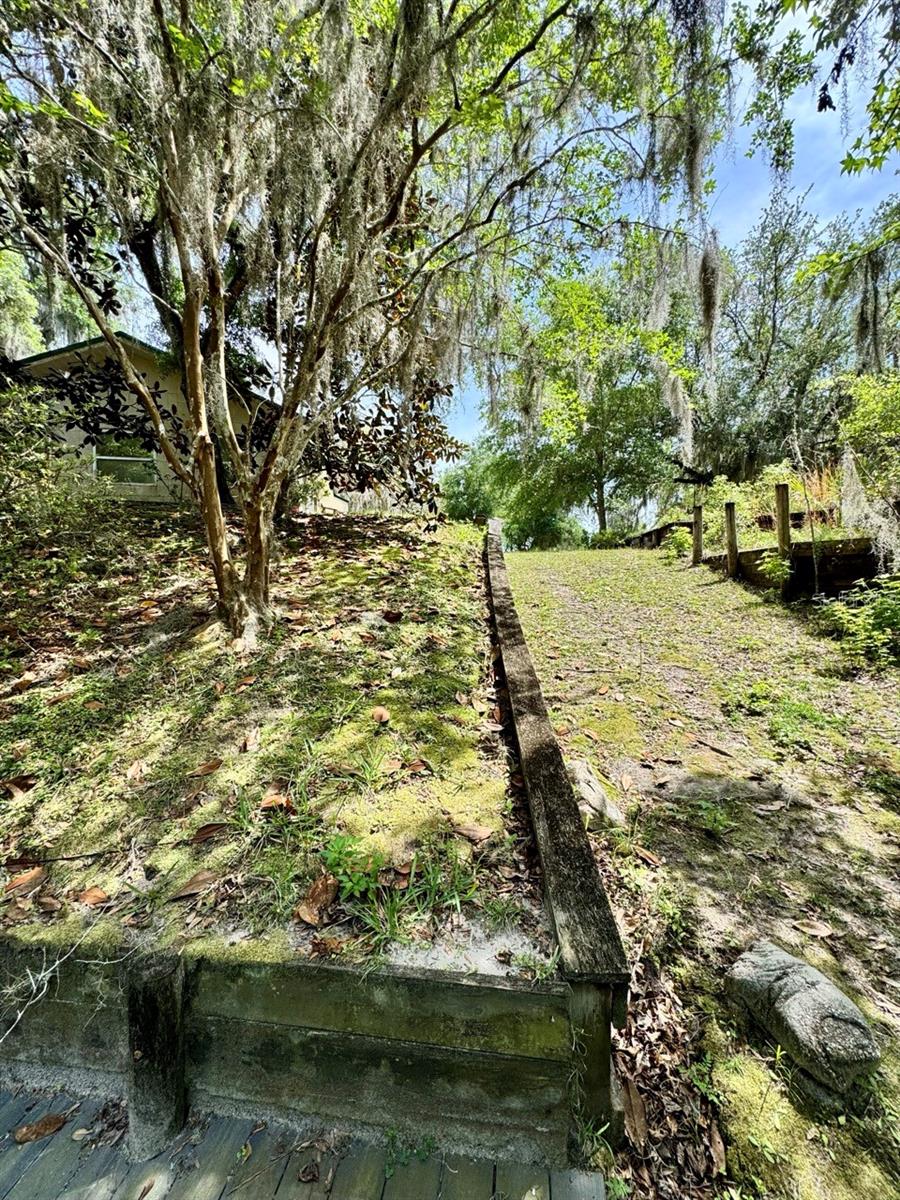 30391 NE 97TH PL, SALT SPRINGS, FL, 32134