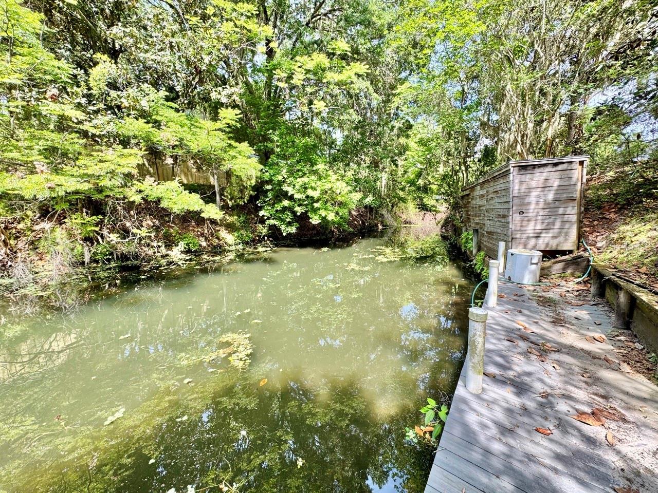 30391 NE 97TH PL, SALT SPRINGS, FL, 32134