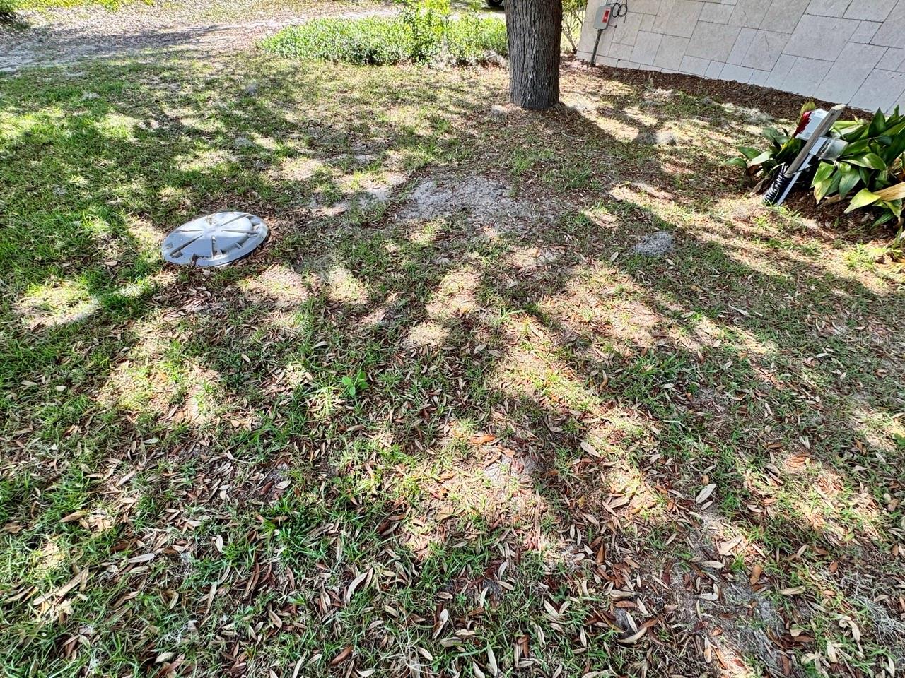 30391 NE 97TH PL, SALT SPRINGS, FL, 32134
