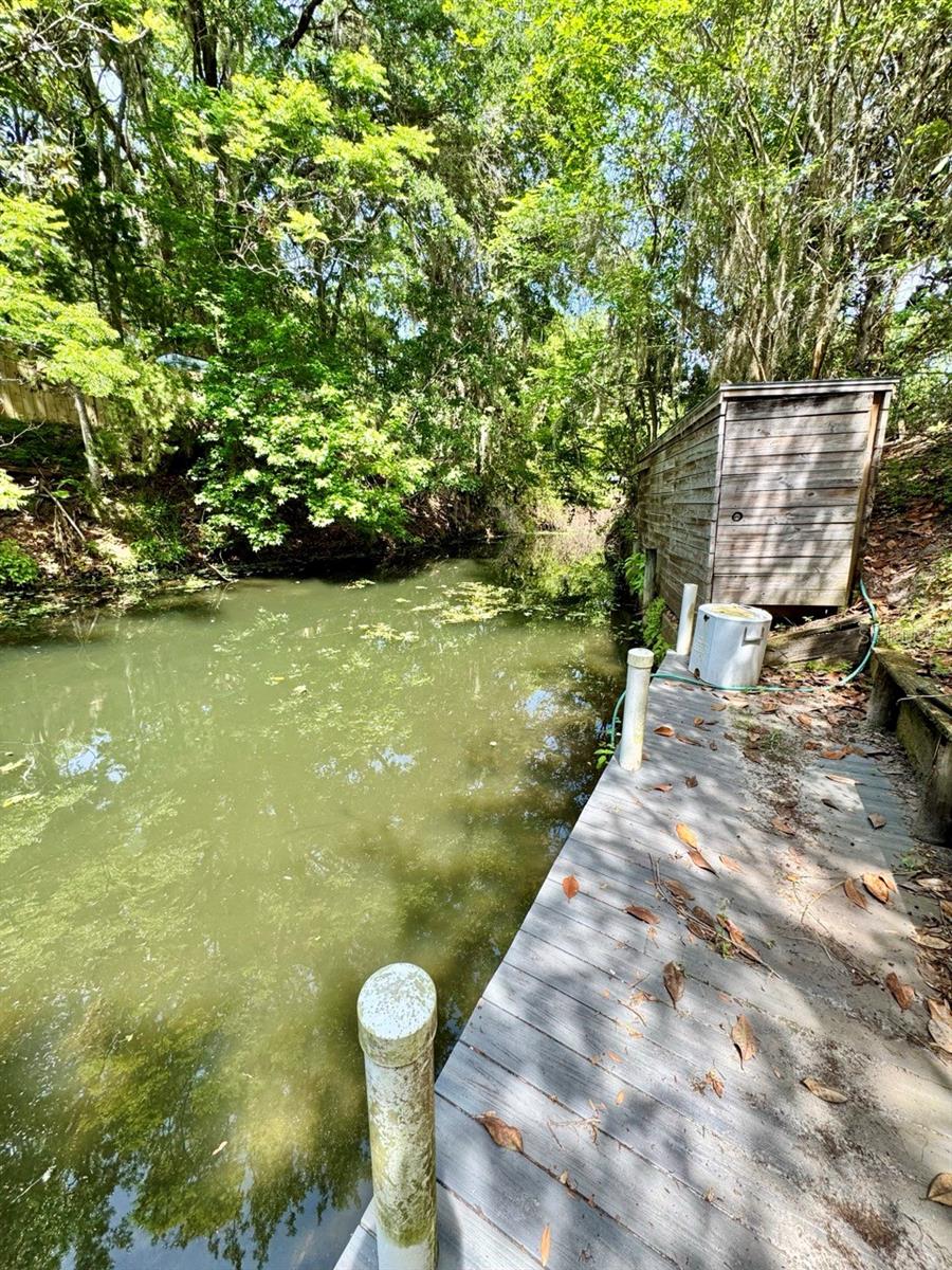 30391 NE 97TH PL, SALT SPRINGS, FL, 32134