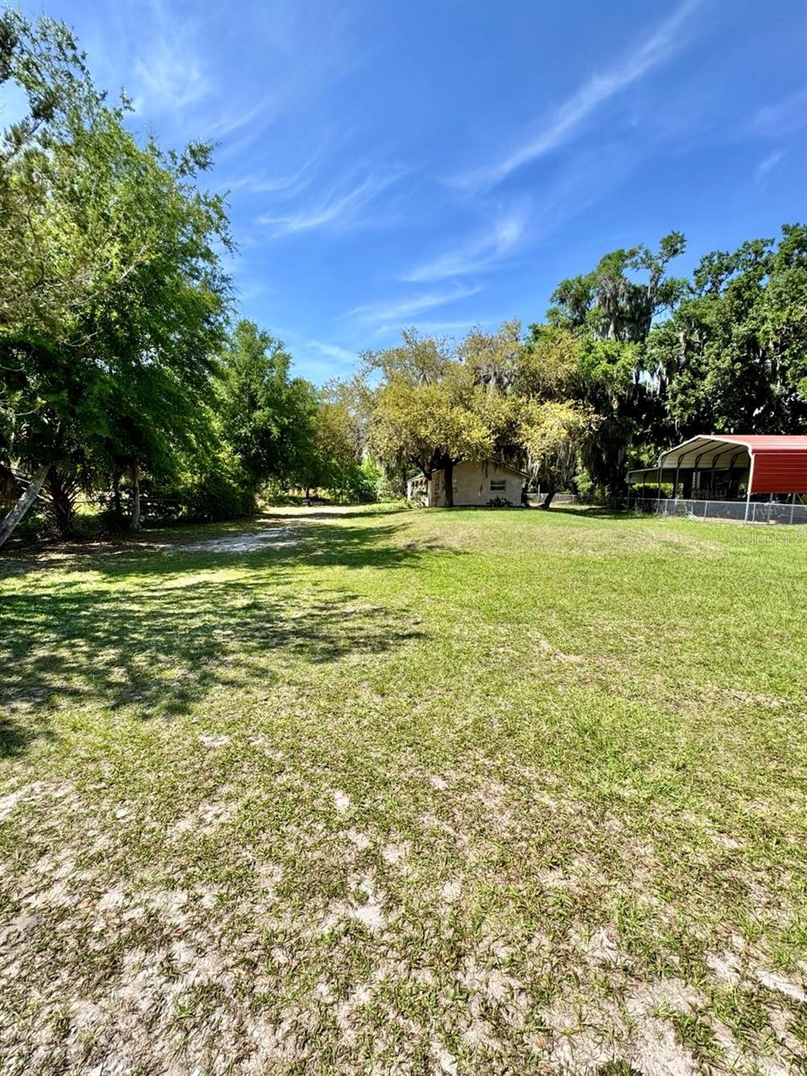 30391 NE 97TH PL, SALT SPRINGS, FL, 32134