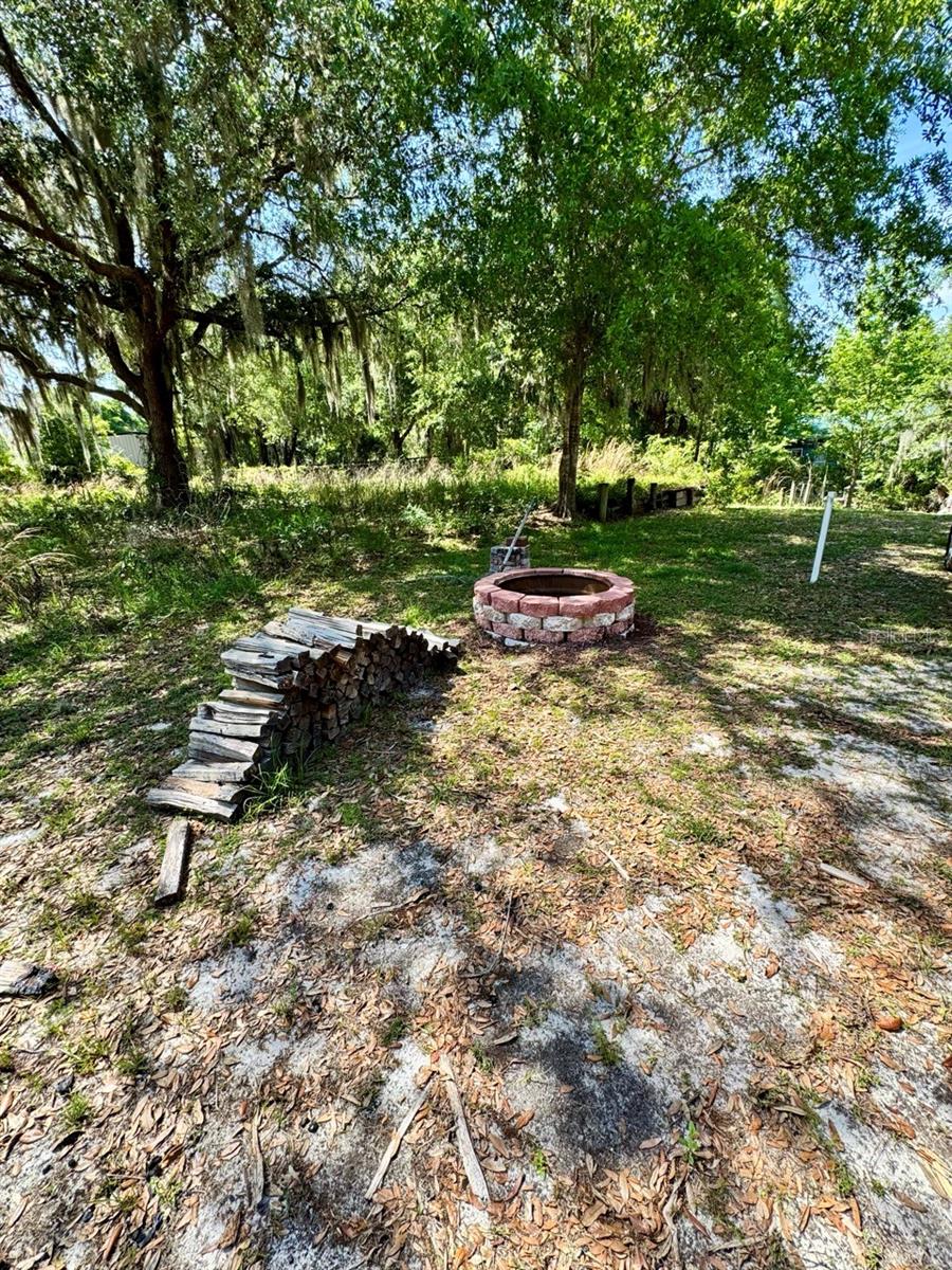 30391 NE 97TH PL, SALT SPRINGS, FL, 32134