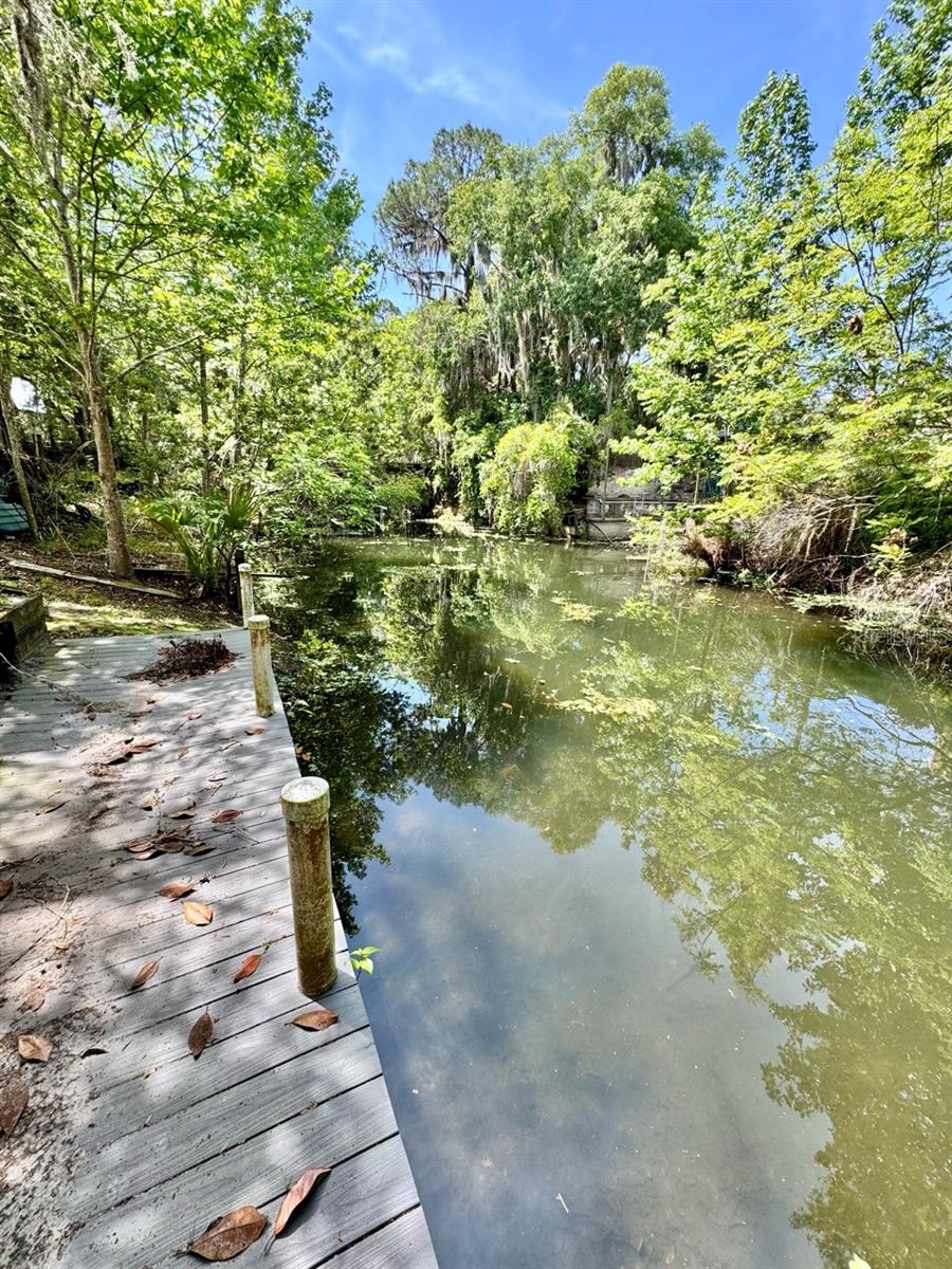 30391 NE 97TH PL, SALT SPRINGS, FL, 32134