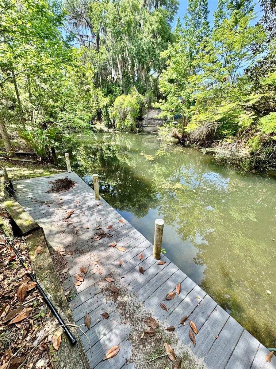 30391 NE 97TH PL, SALT SPRINGS, FL, 32134