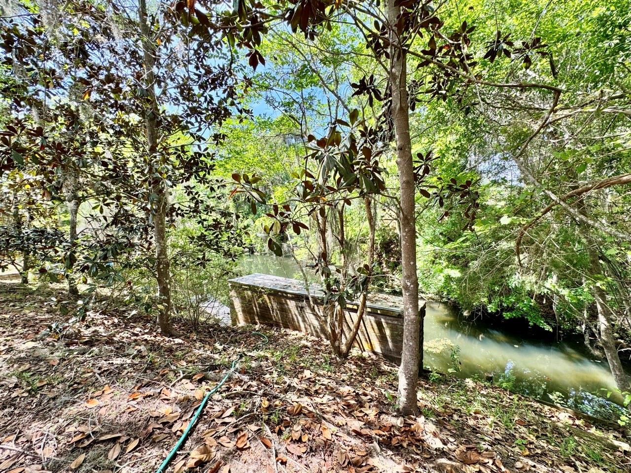 30391 NE 97TH PL, SALT SPRINGS, FL, 32134