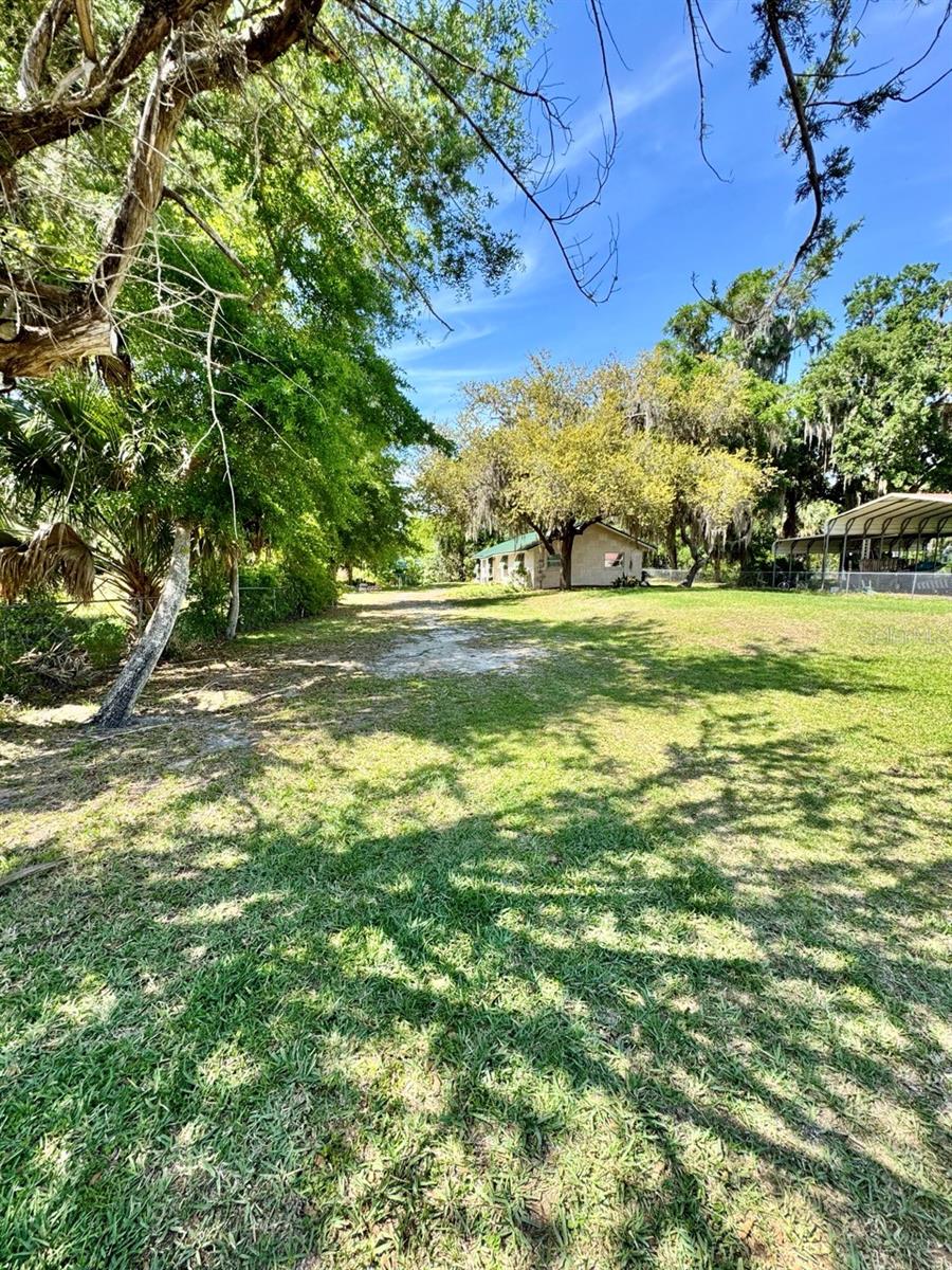 30391 NE 97TH PL, SALT SPRINGS, FL, 32134