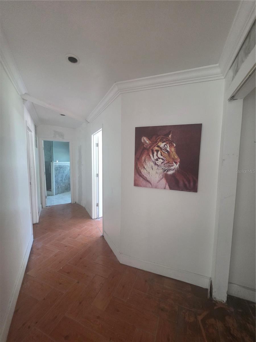 12521 PITTSFIELD AVE, TAMPA, FL, 33624
