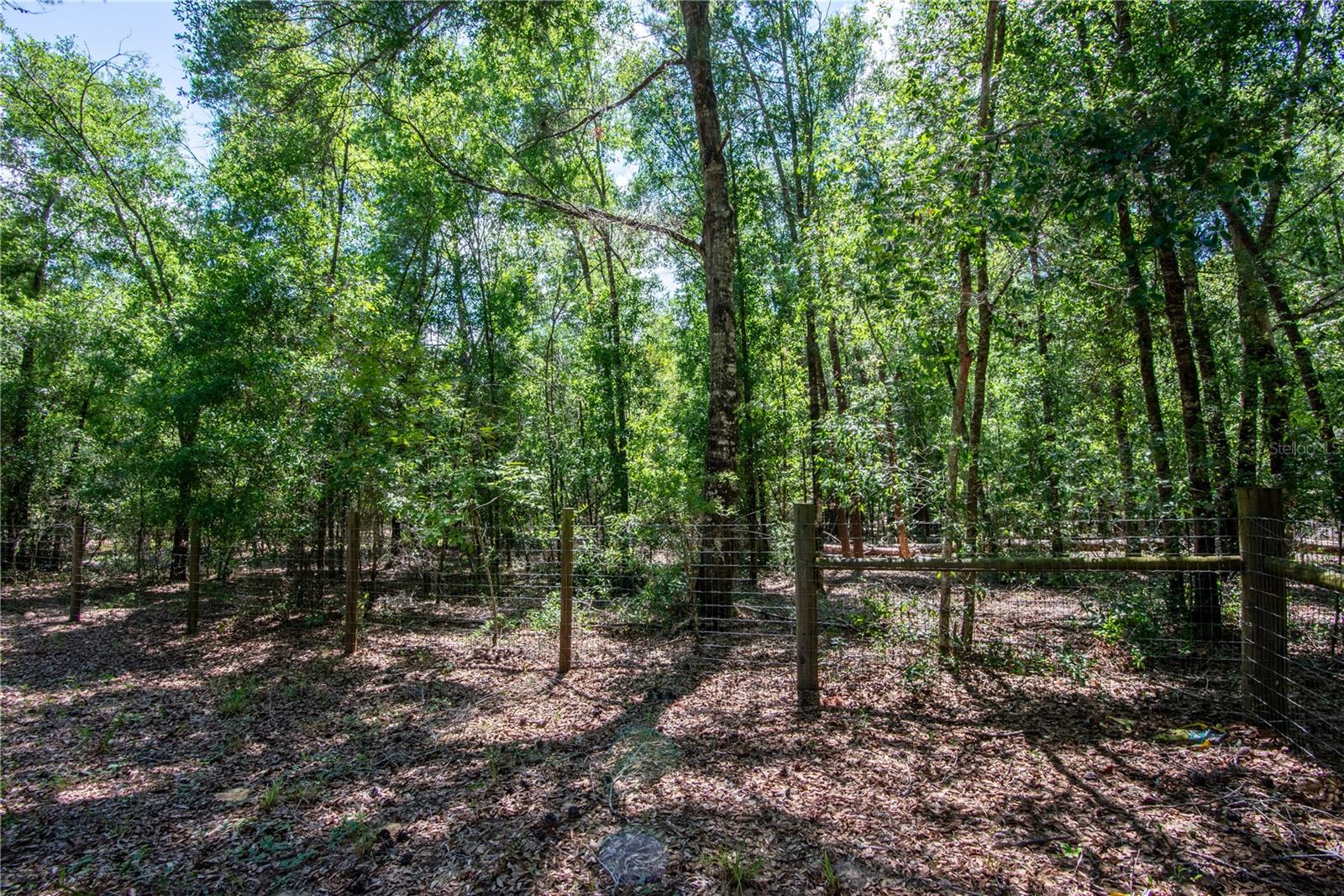 26721 CHIPPEWA TRL, BROOKSVILLE, FL, 34601
