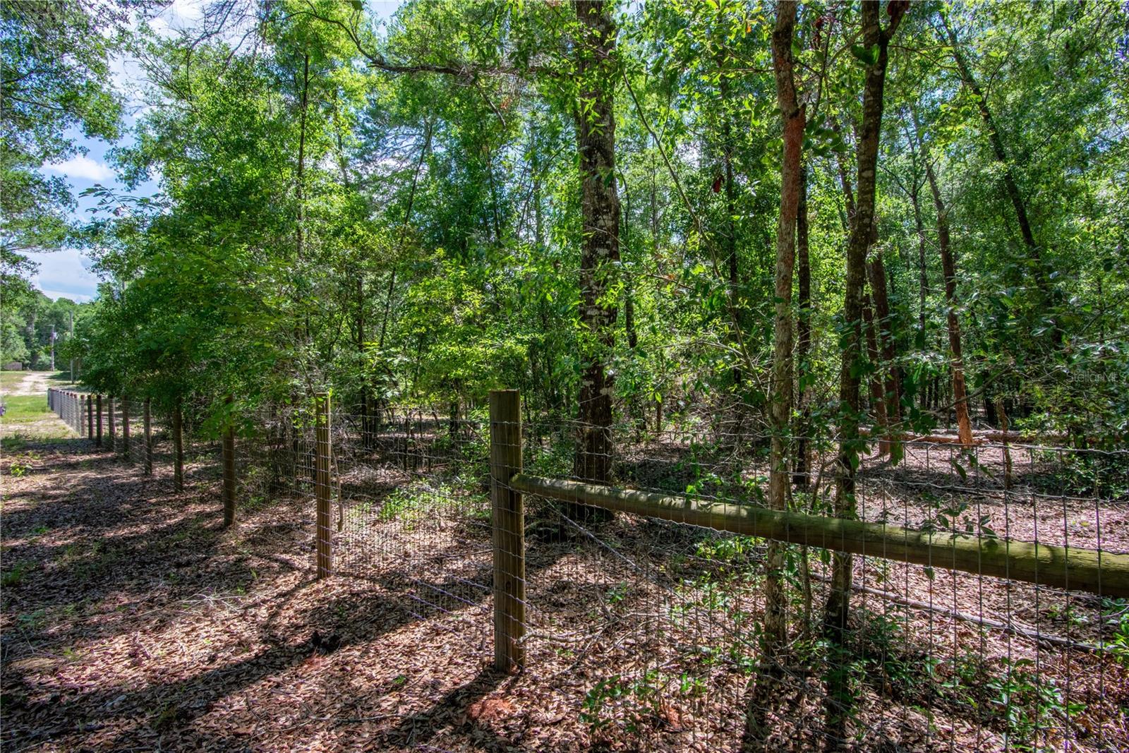 26721 CHIPPEWA TRL, BROOKSVILLE, FL, 34601