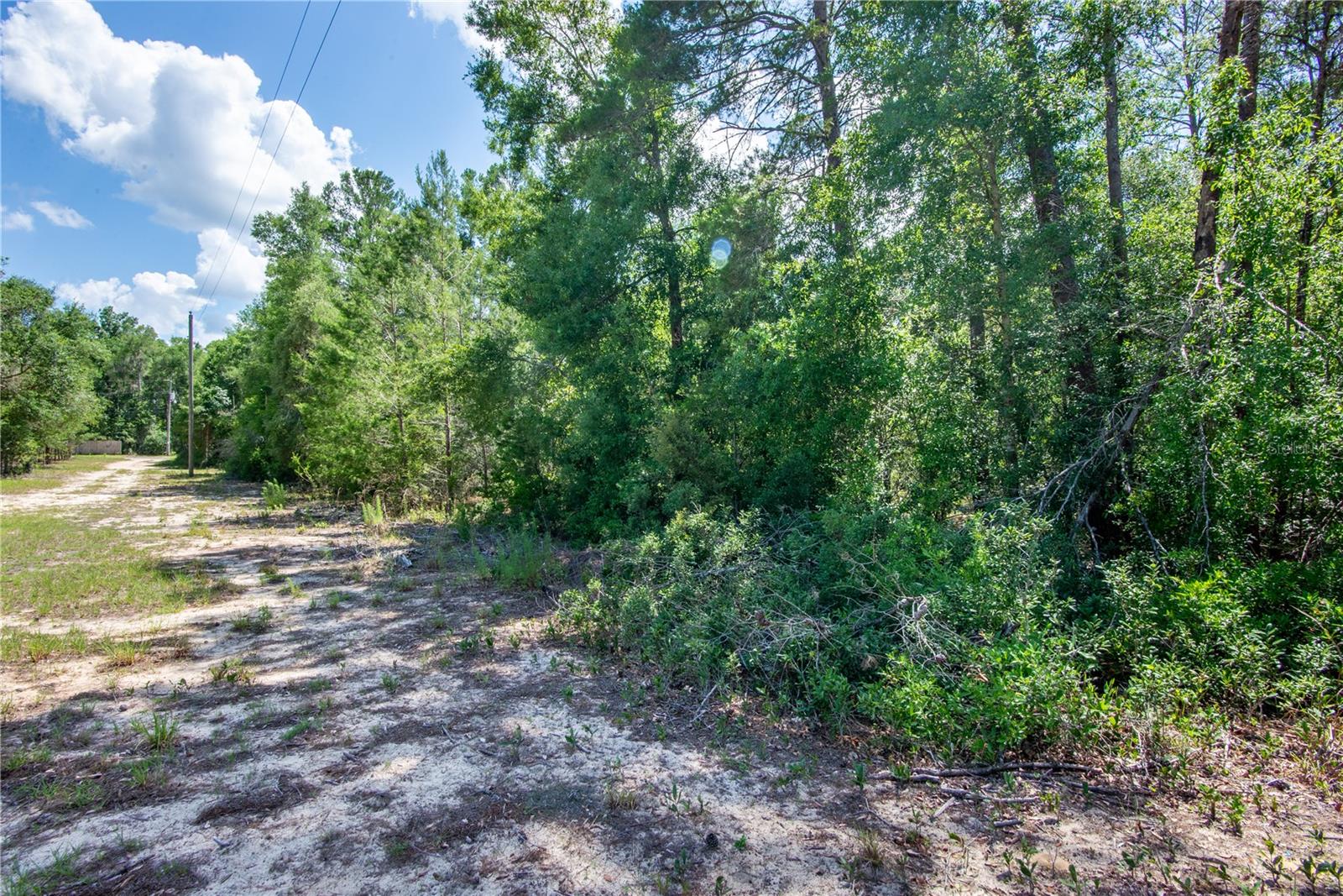 26721 CHIPPEWA TRL, BROOKSVILLE, FL, 34601