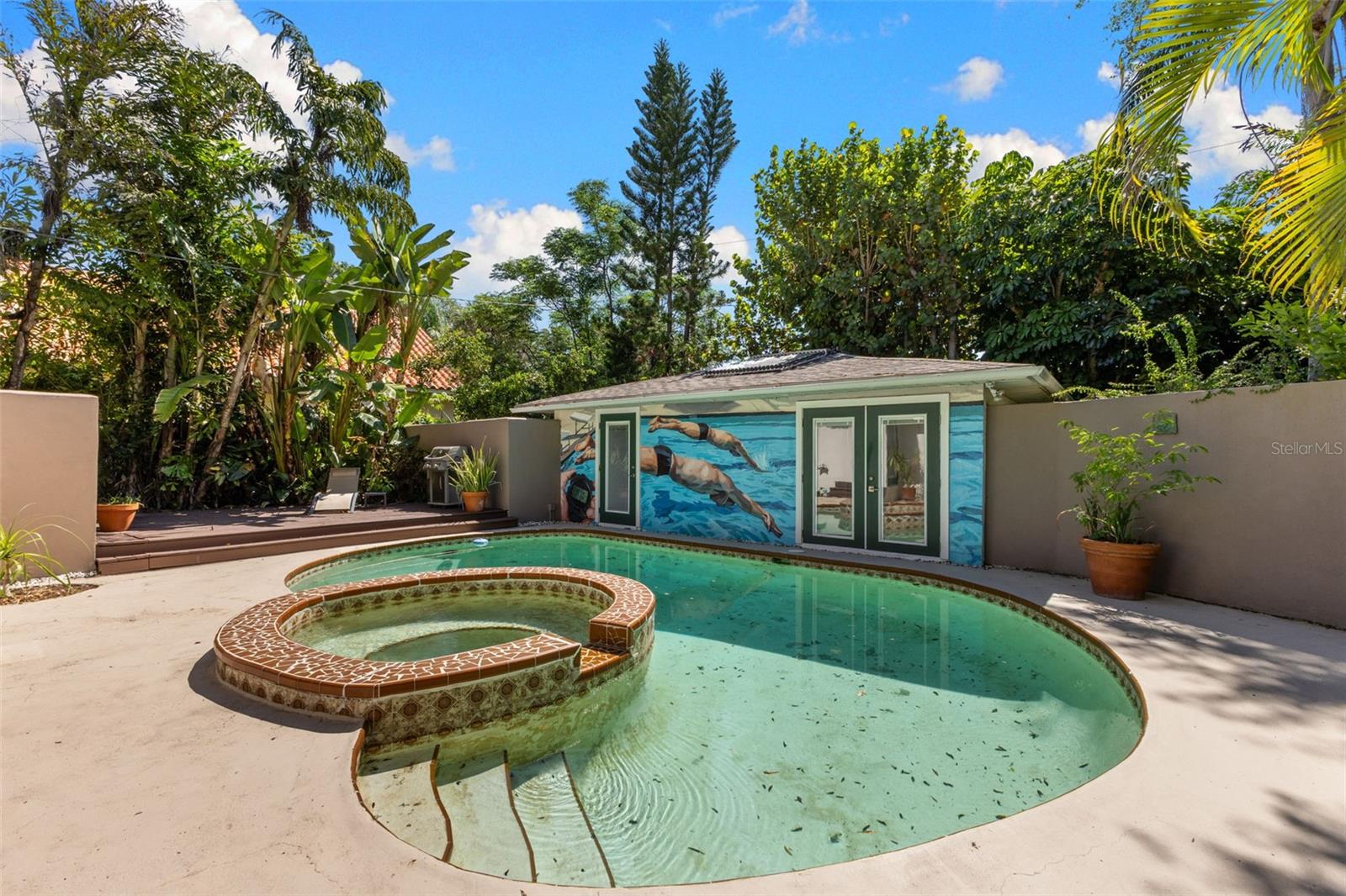 135 ARANDA ST NE, ST PETERSBURG, FL, 33704
