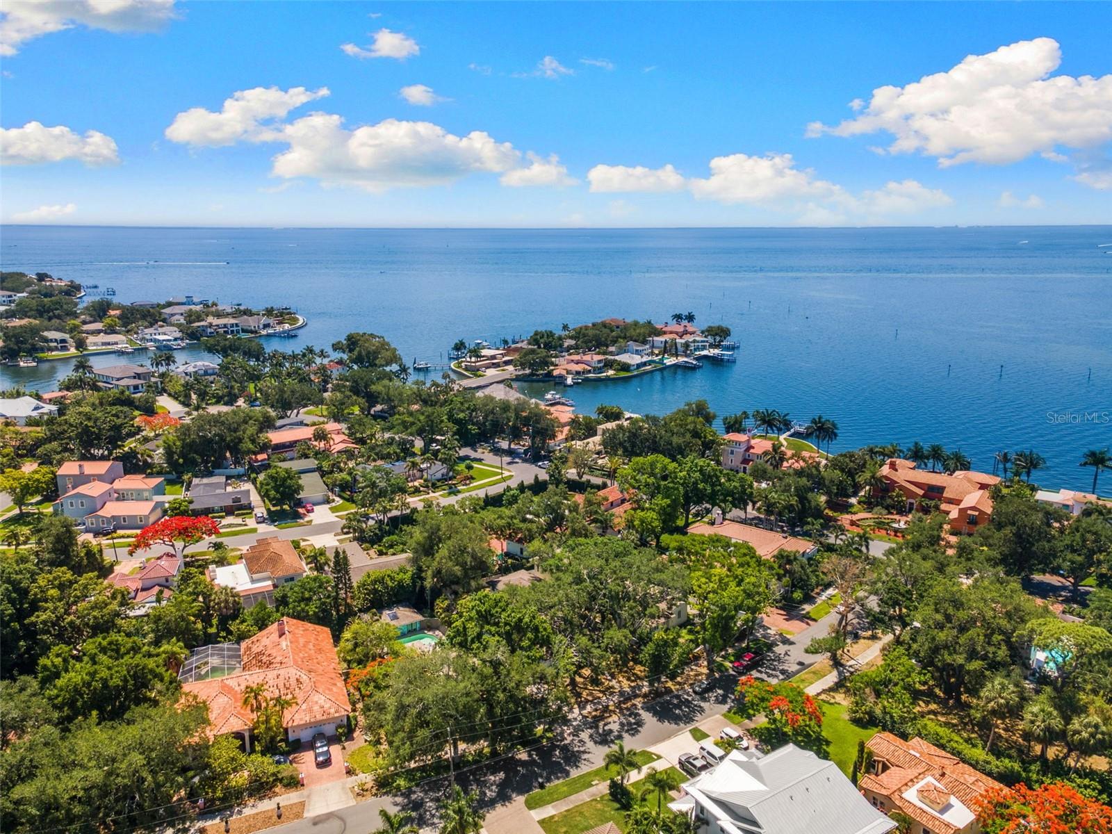 135 ARANDA ST NE, ST PETERSBURG, FL, 33704