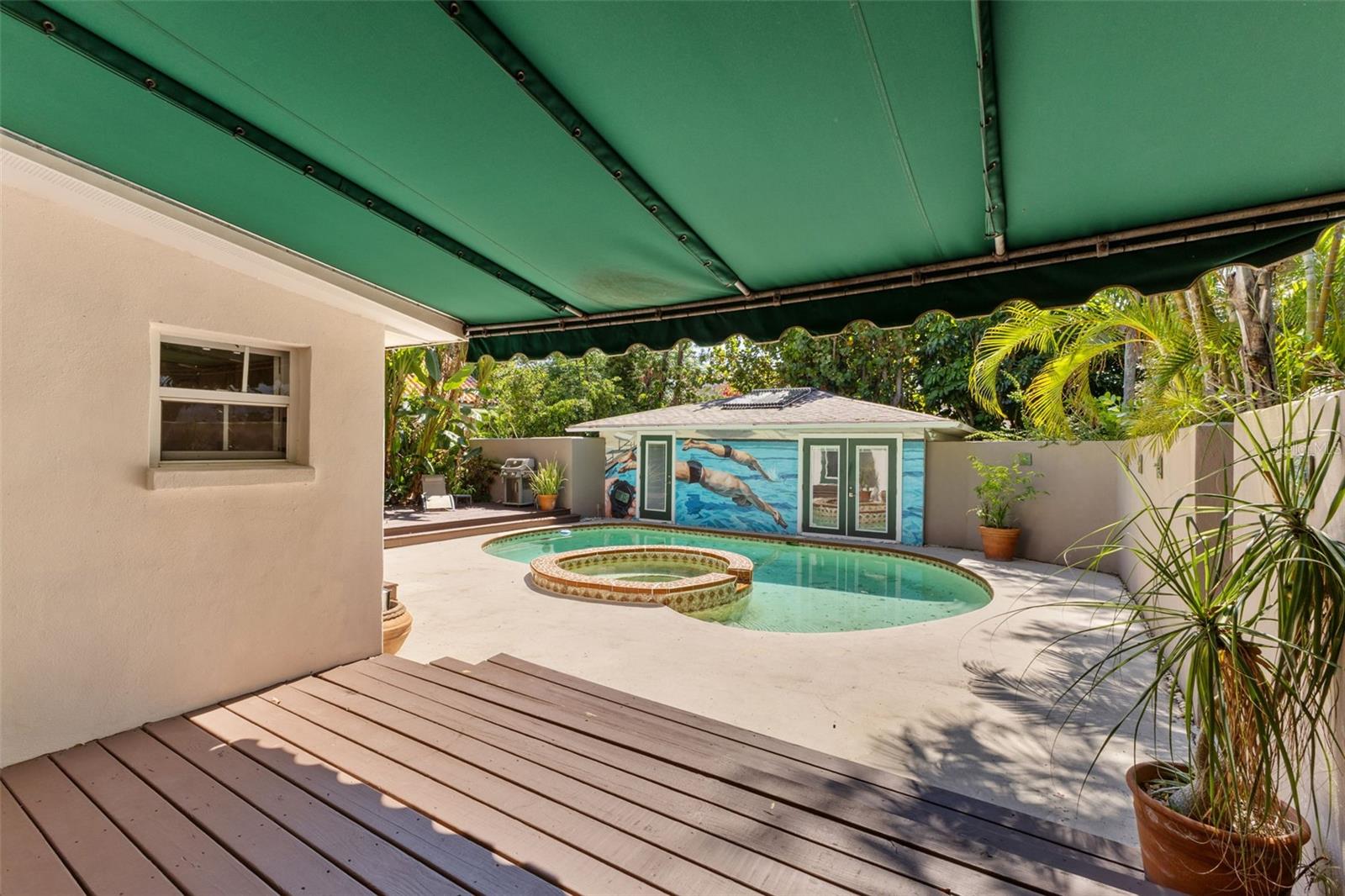 135 ARANDA ST NE, ST PETERSBURG, FL, 33704