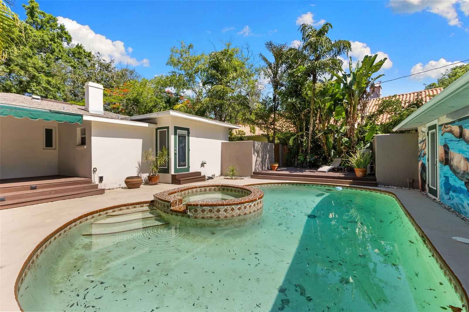 135 ARANDA ST NE, ST PETERSBURG, FL, 33704