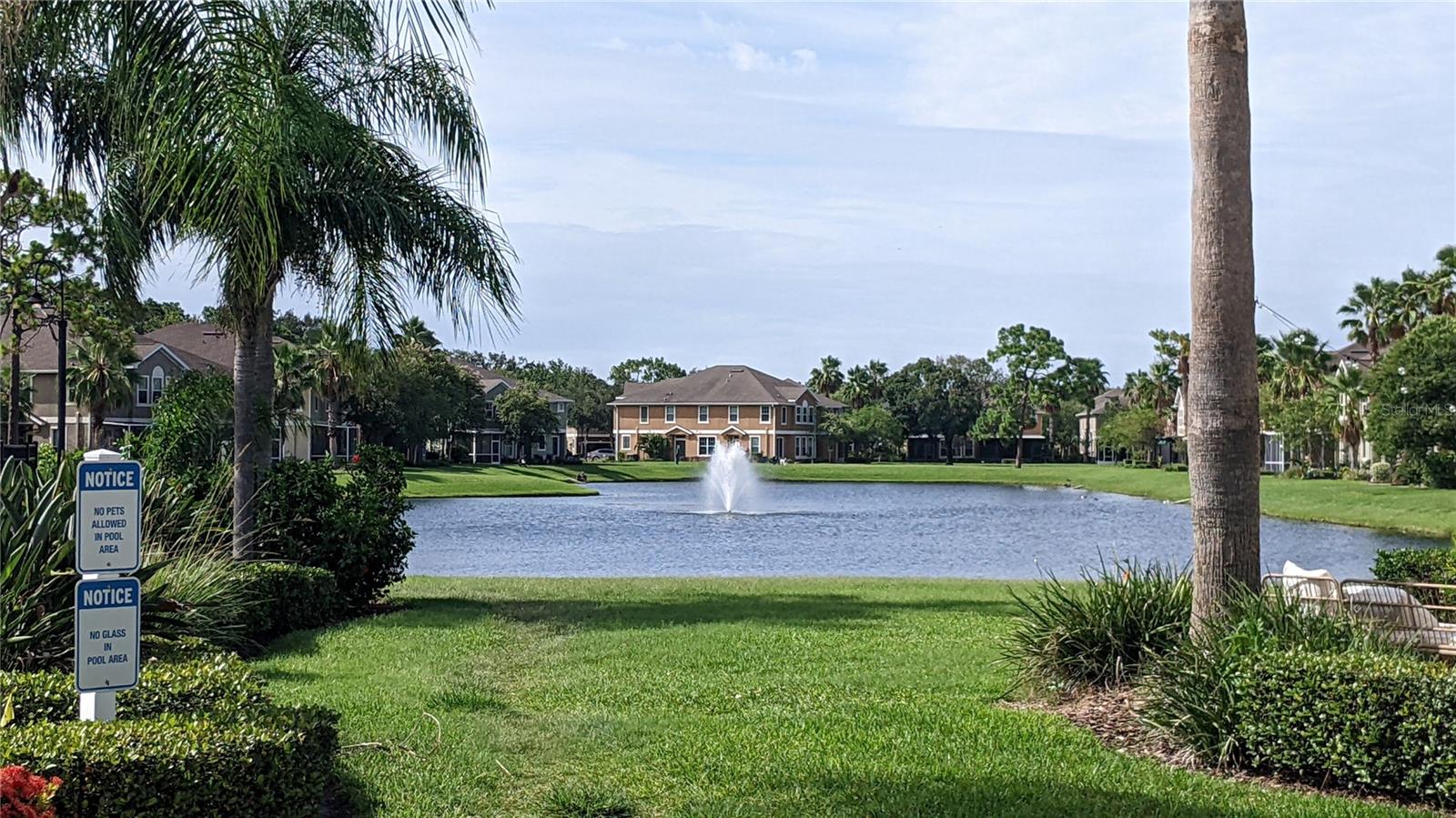 7001 INTERBAY BLVD #308, TAMPA, FL, 33616