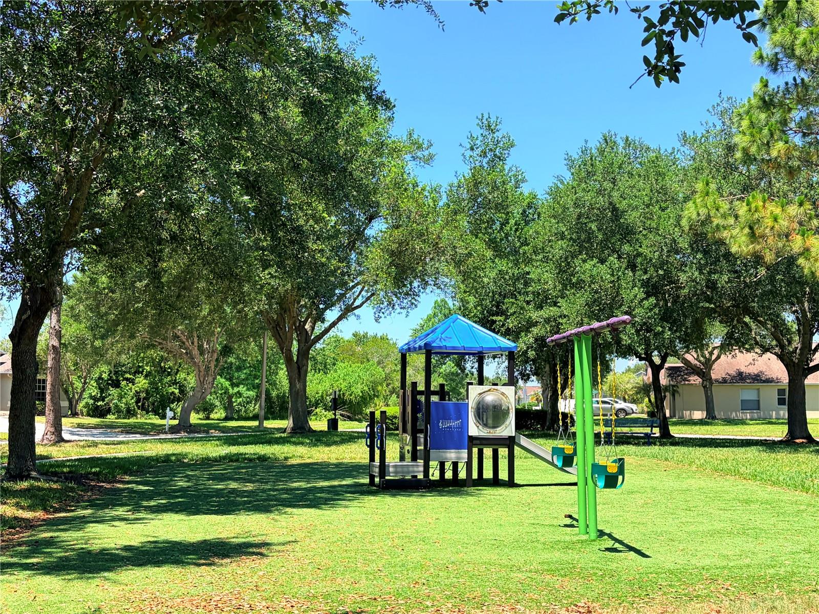 32111 BROOKSTONE DR, WESLEY CHAPEL, FL, 33545