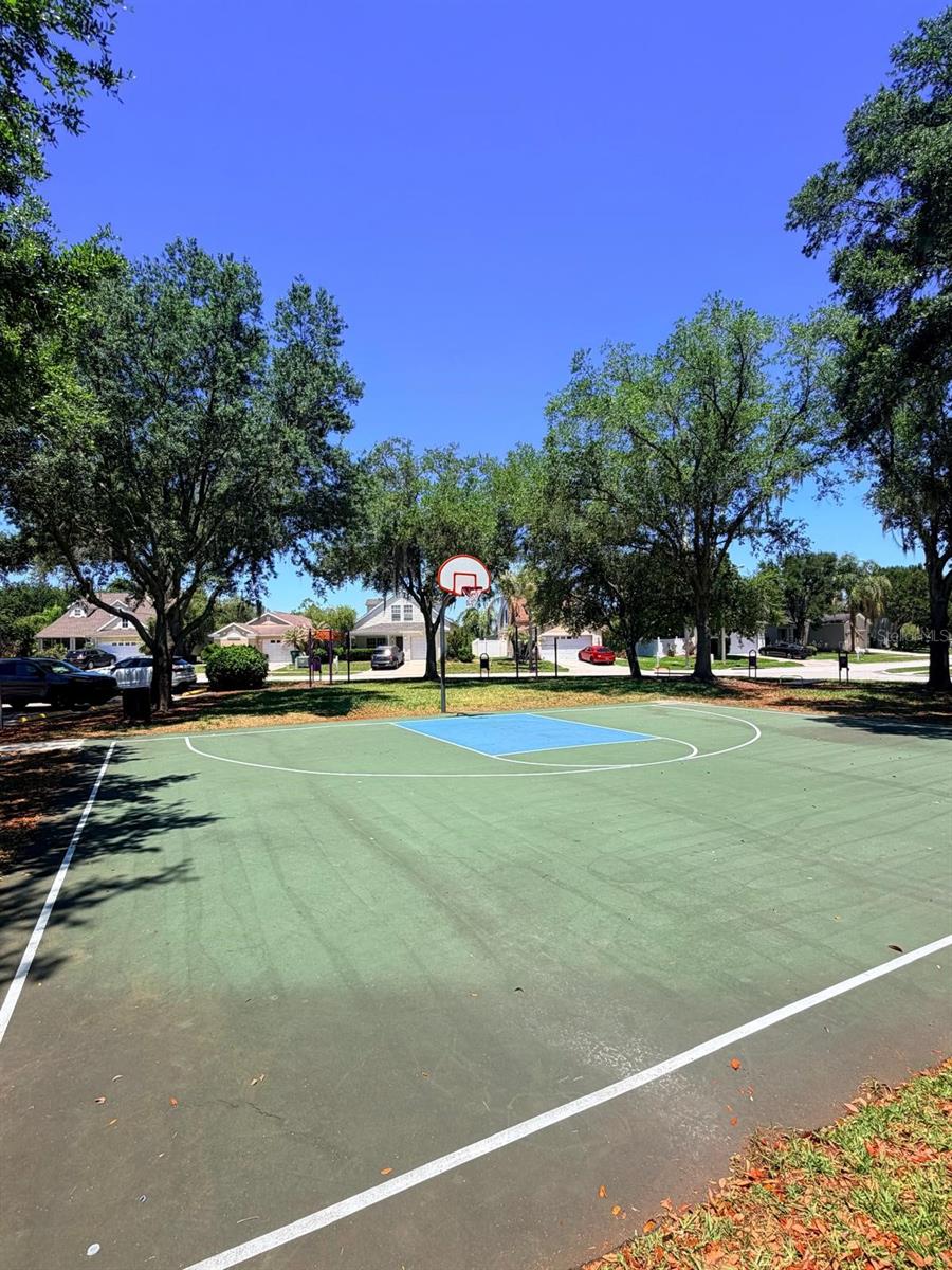 32111 BROOKSTONE DR, WESLEY CHAPEL, FL, 33545