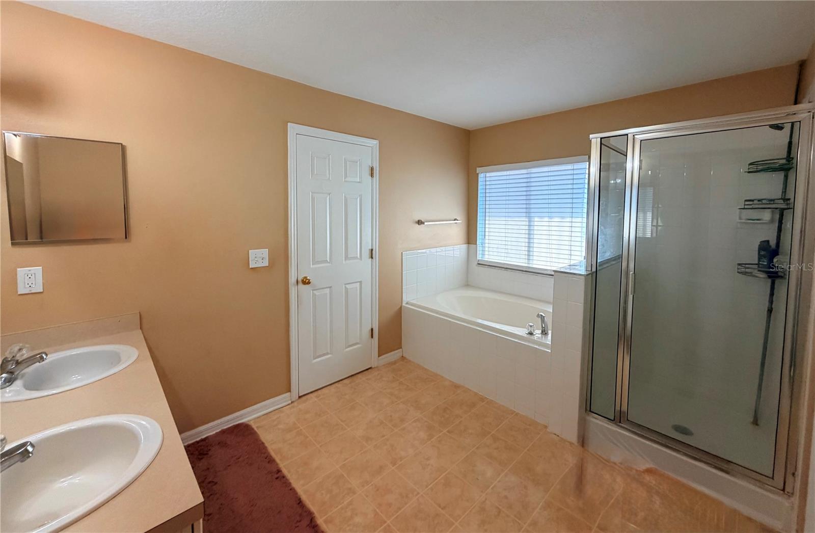 32111 BROOKSTONE DR, WESLEY CHAPEL, FL, 33545