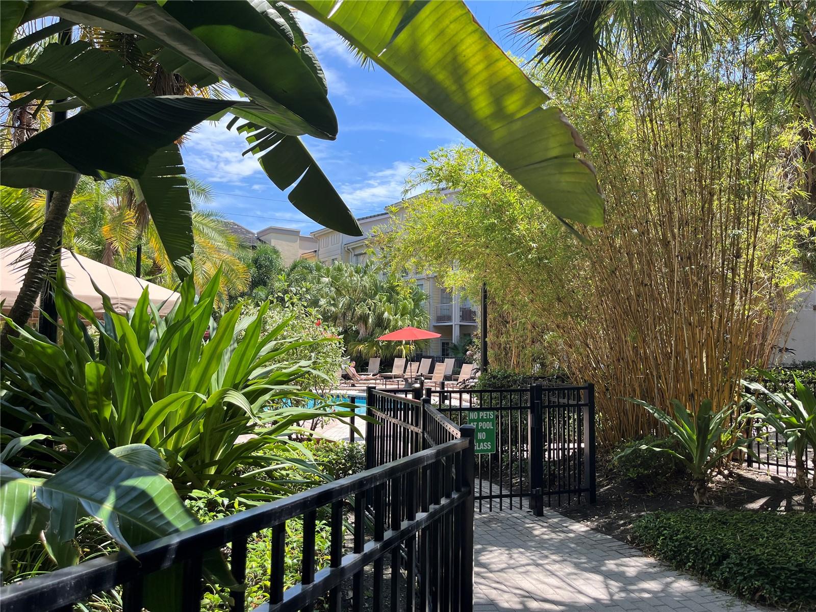 501 S MOODY AVE #1119B, TAMPA, FL, 33609