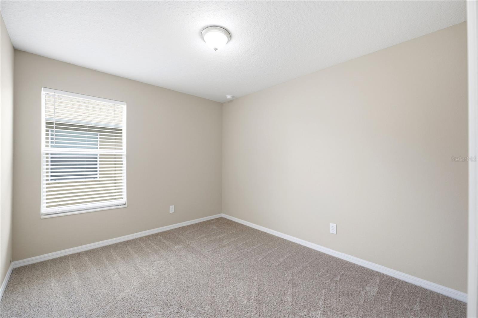 7411 S FITZGERALD ST, TAMPA, FL, 33616