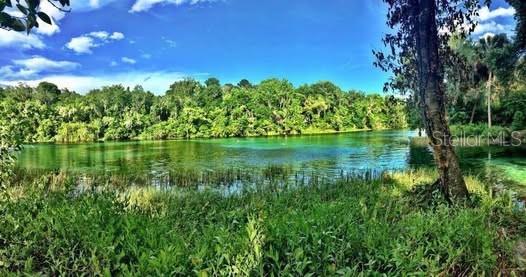 20707 WALNUT ST, DUNNELLON, FL, 34431