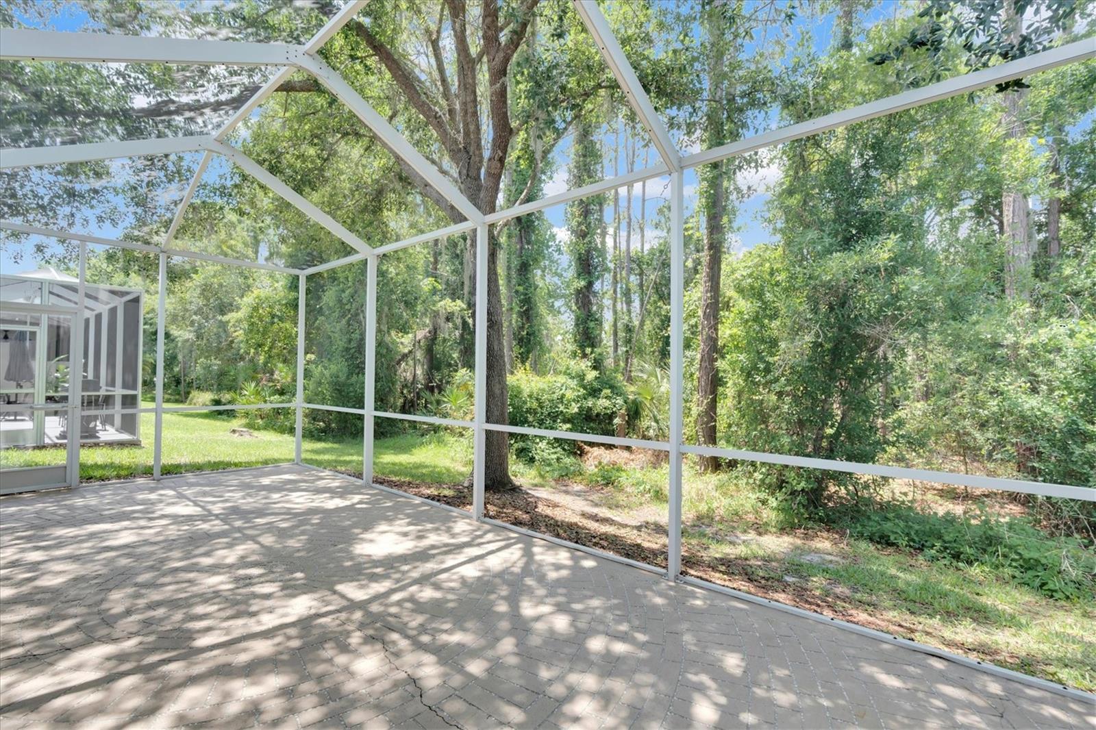 3312 CHAPEL CREEK CIR, WESLEY CHAPEL, FL, 33544
