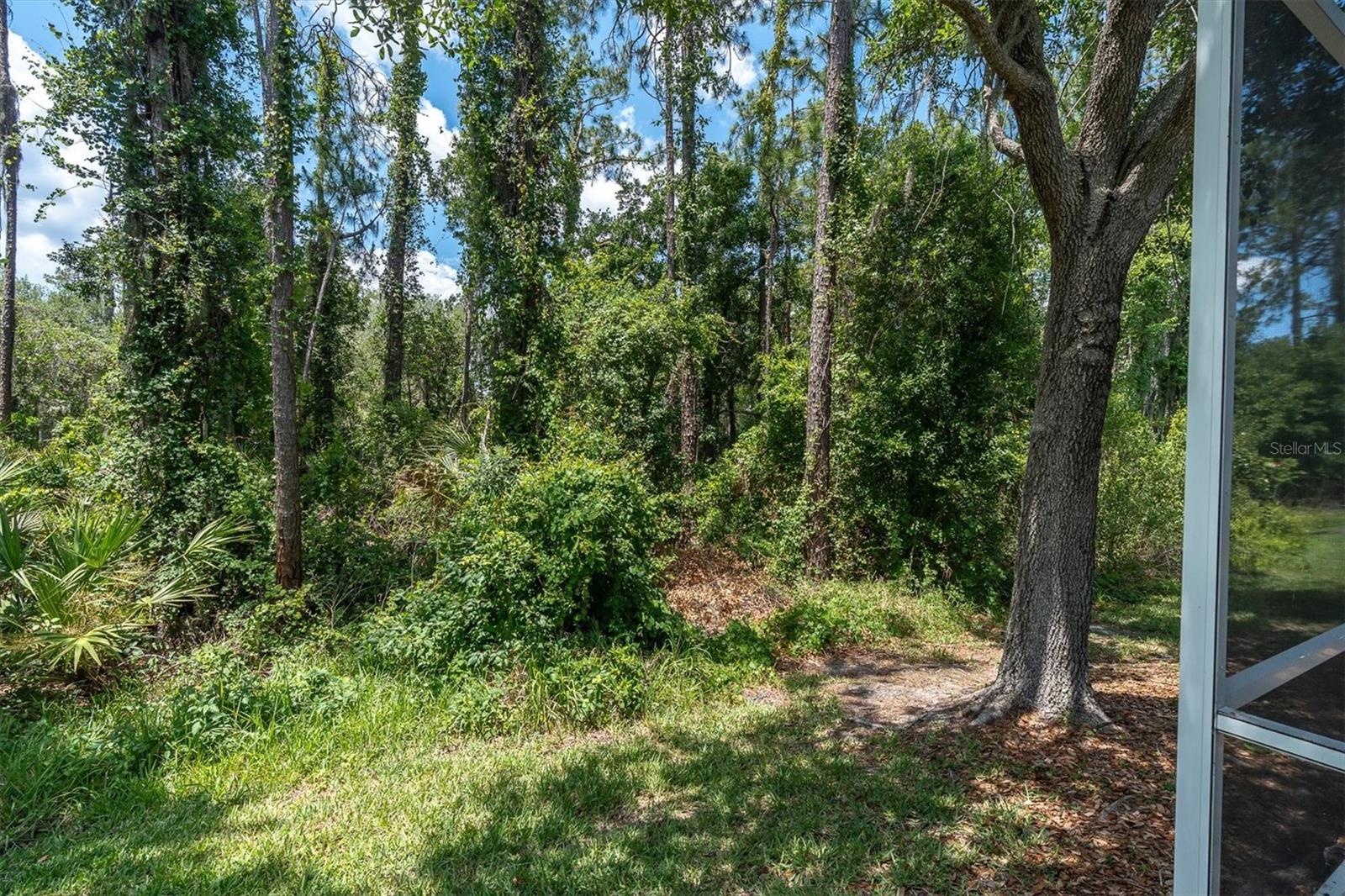 3312 CHAPEL CREEK CIR, WESLEY CHAPEL, FL, 33544