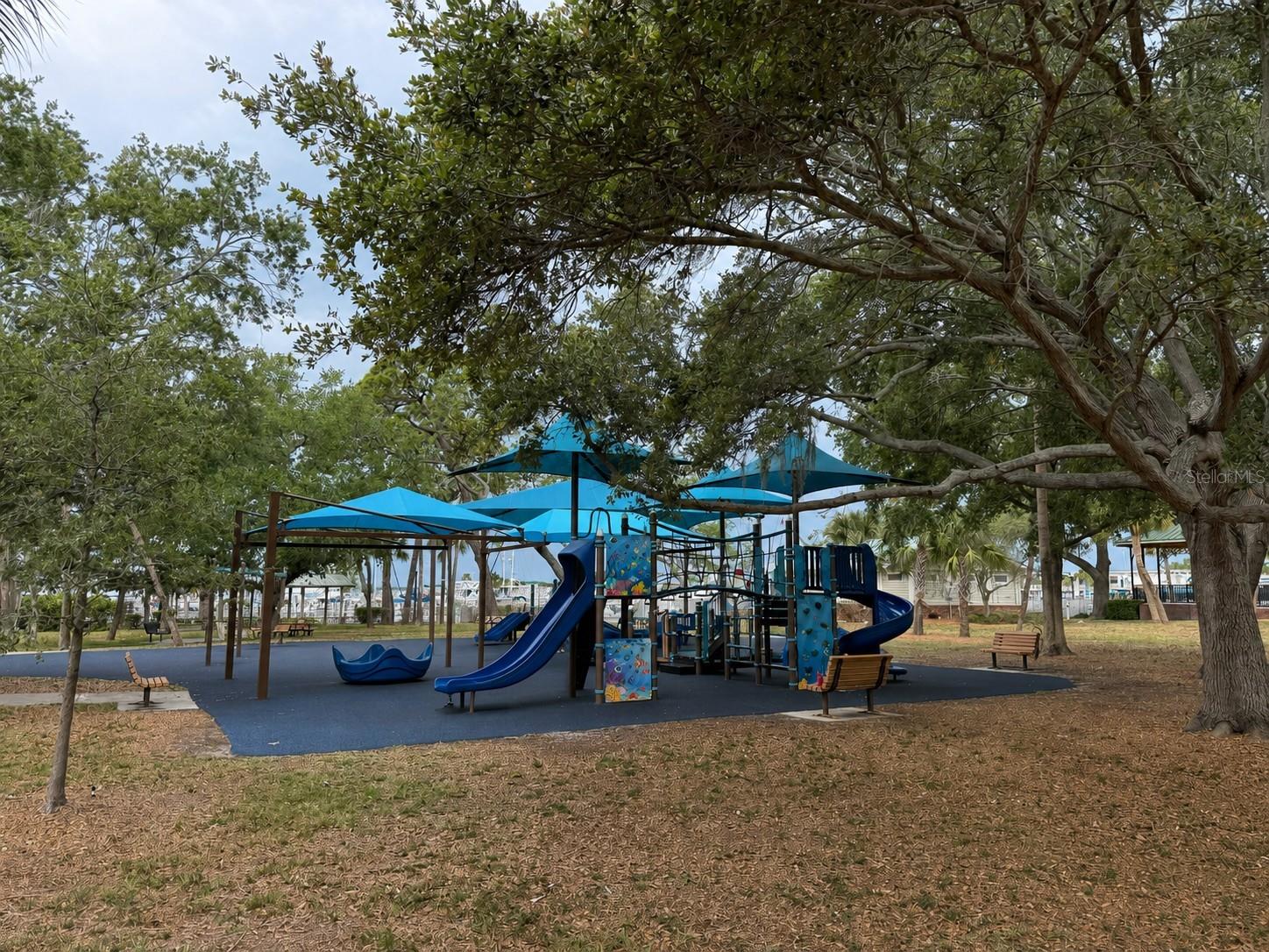 220 LYNDHURST ST, DUNEDIN, FL, 34698
