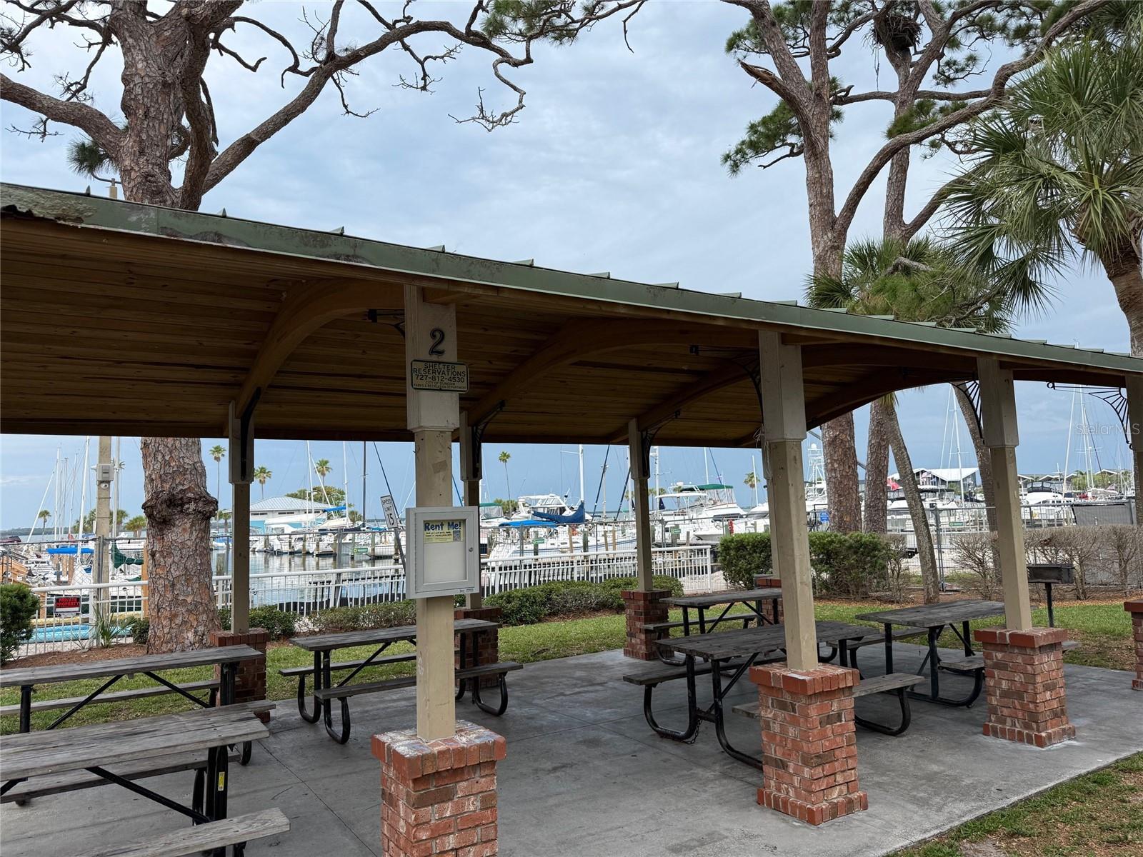 220 LYNDHURST ST, DUNEDIN, FL, 34698