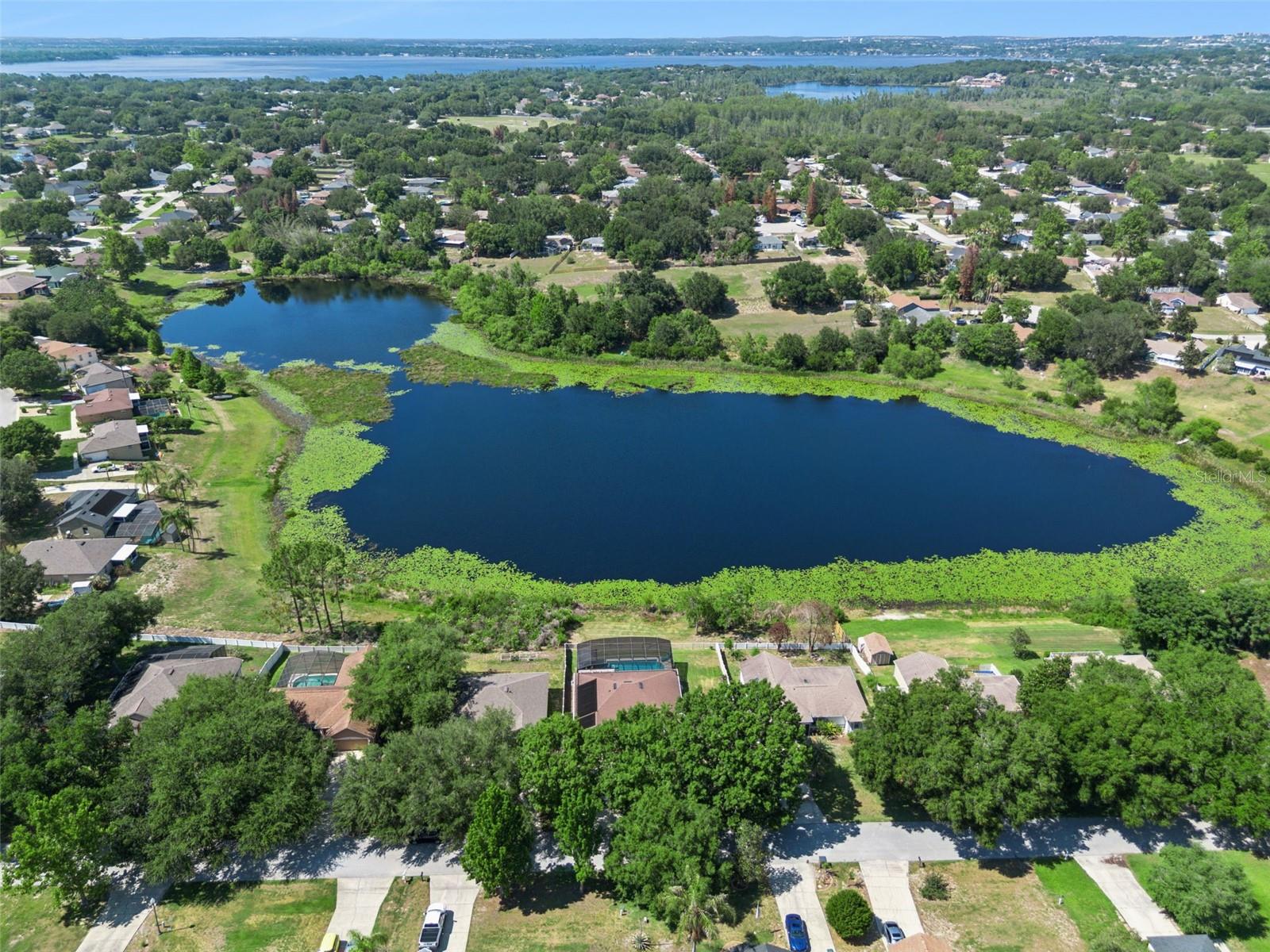 11620 PINELOCH LOOP, CLERMONT, FL, 34711