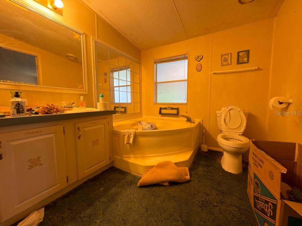 2011 PINEWOOD LN, MOUNT DORA, FL, 32757