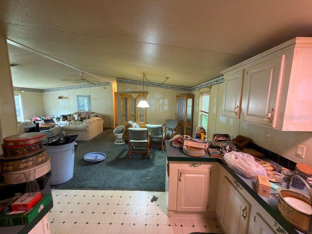2011 PINEWOOD LN, MOUNT DORA, FL, 32757