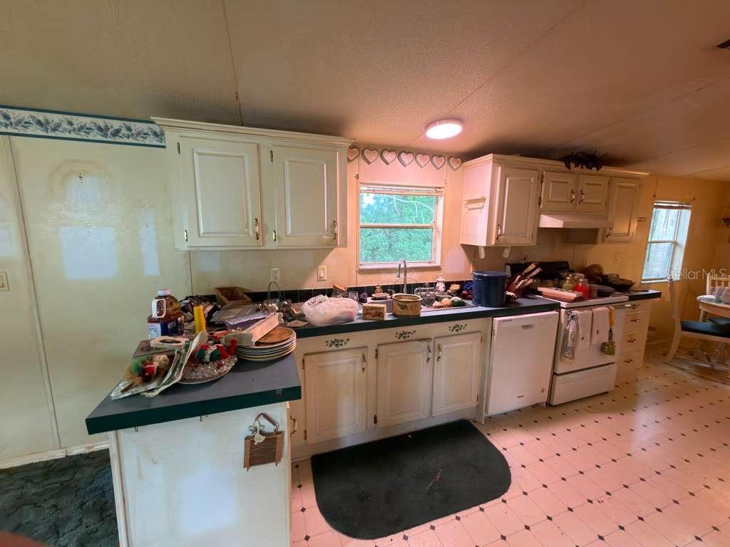 2011 PINEWOOD LN, MOUNT DORA, FL, 32757