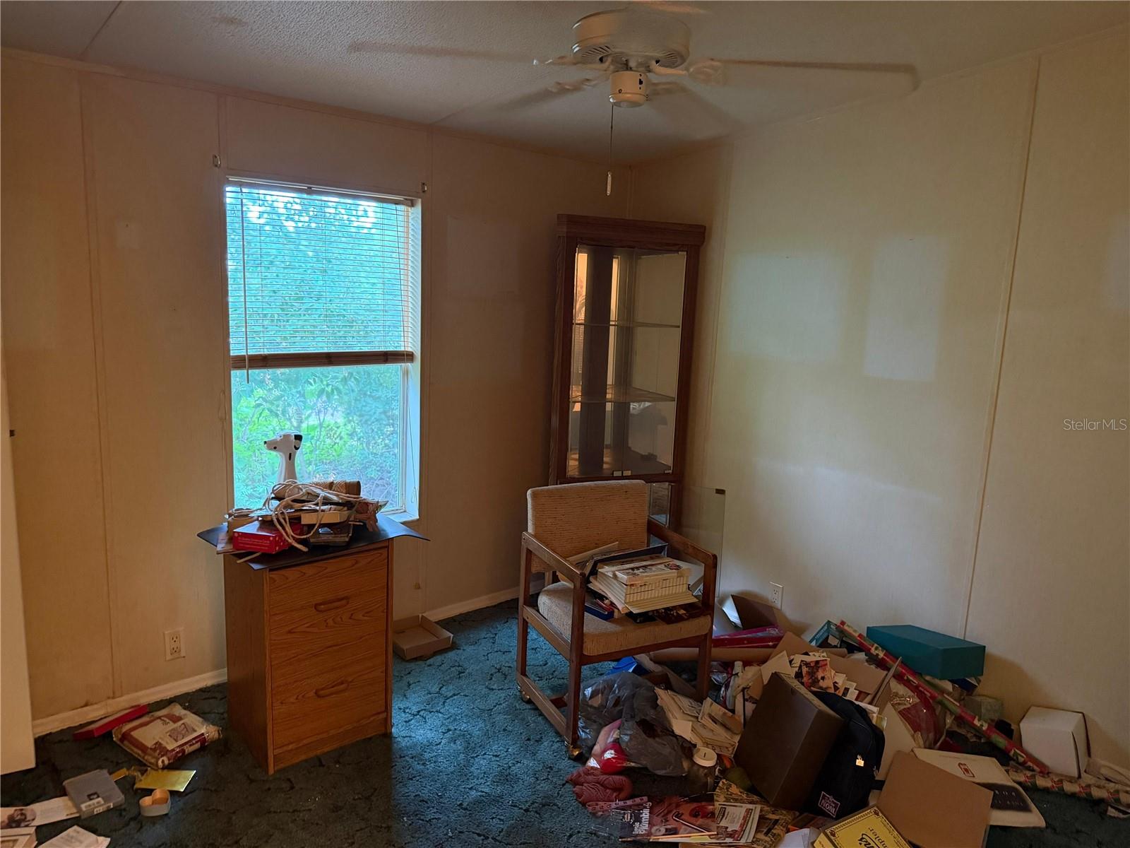 2011 PINEWOOD LN, MOUNT DORA, FL, 32757