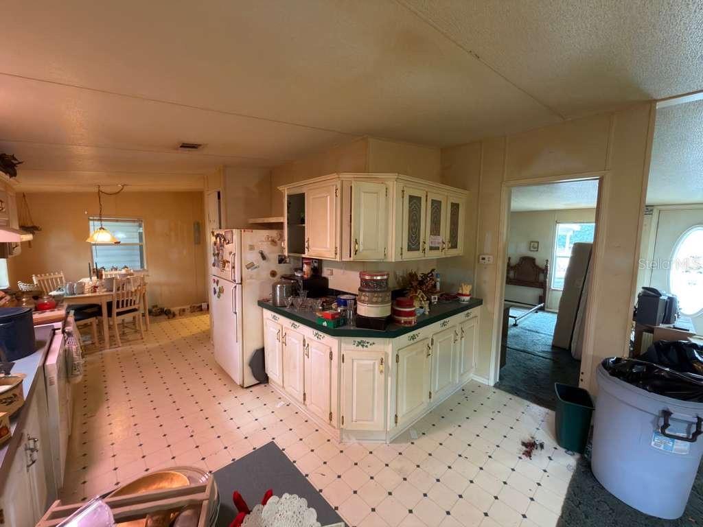 2011 PINEWOOD LN, MOUNT DORA, FL, 32757