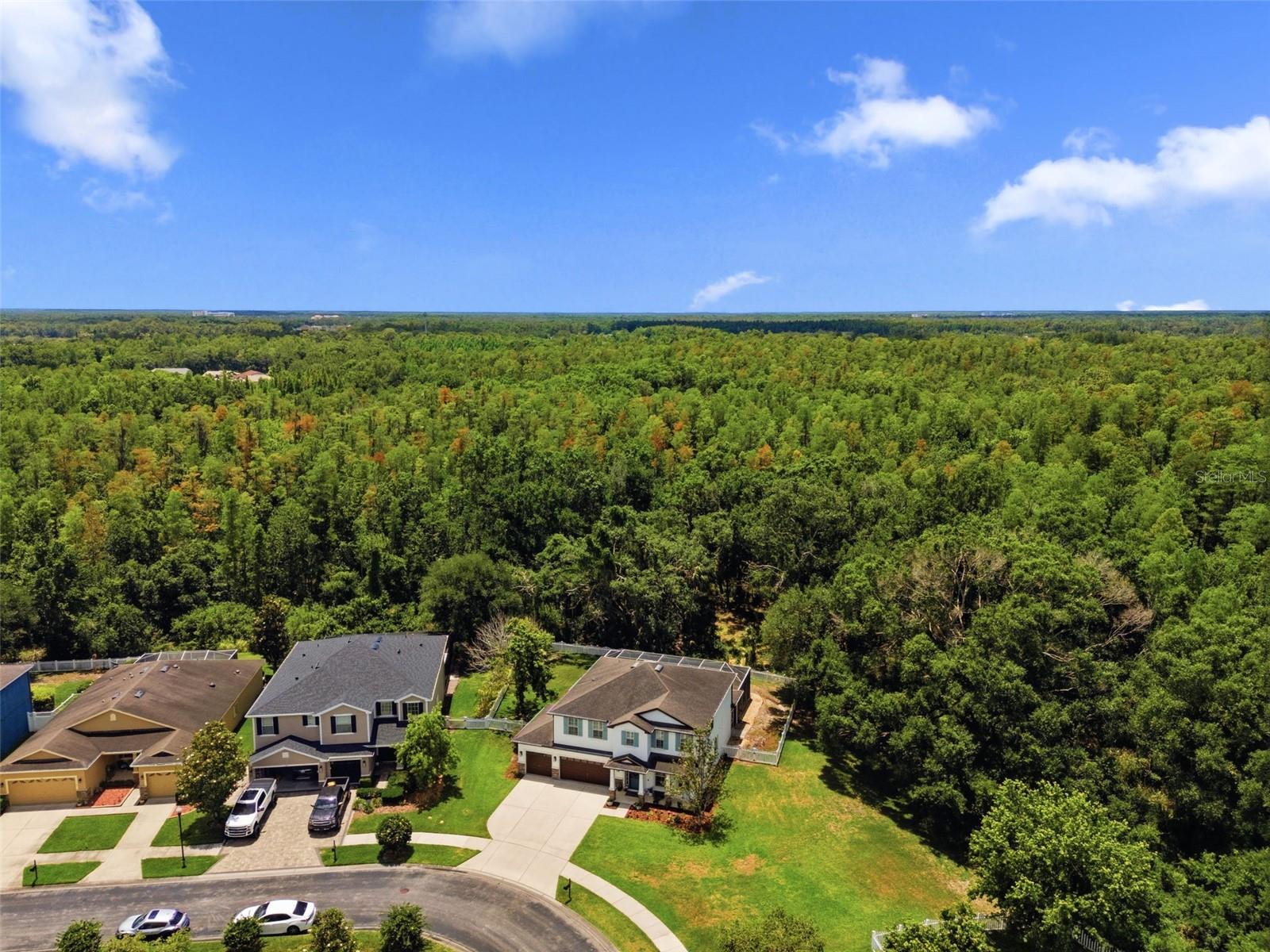 4130 GRANITE GLEN LOOP, WESLEY CHAPEL, FL, 33544
