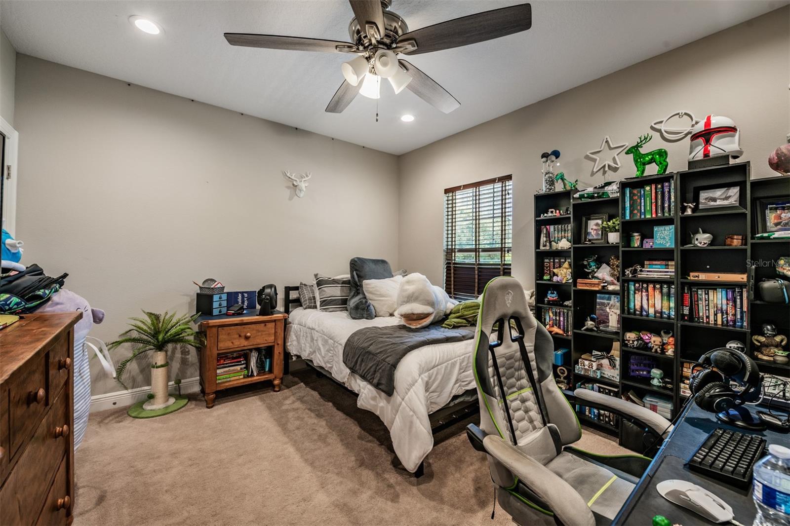 3007 W PALMIRA AVE, TAMPA, FL, 33629