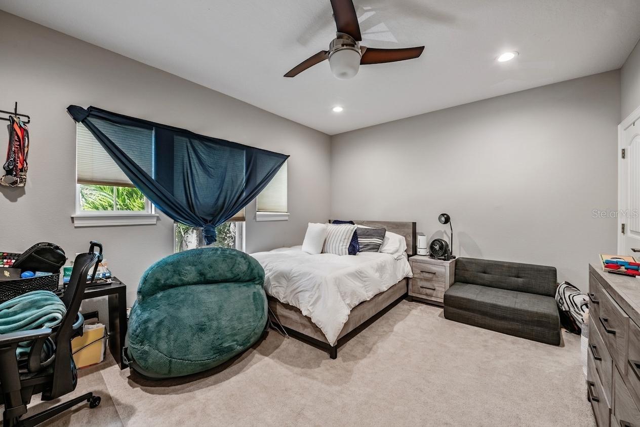 3007 W PALMIRA AVE, TAMPA, FL, 33629