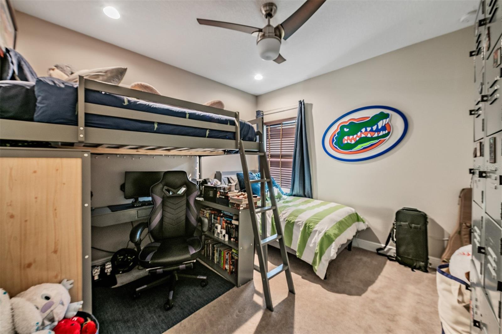 3007 W PALMIRA AVE, TAMPA, FL, 33629