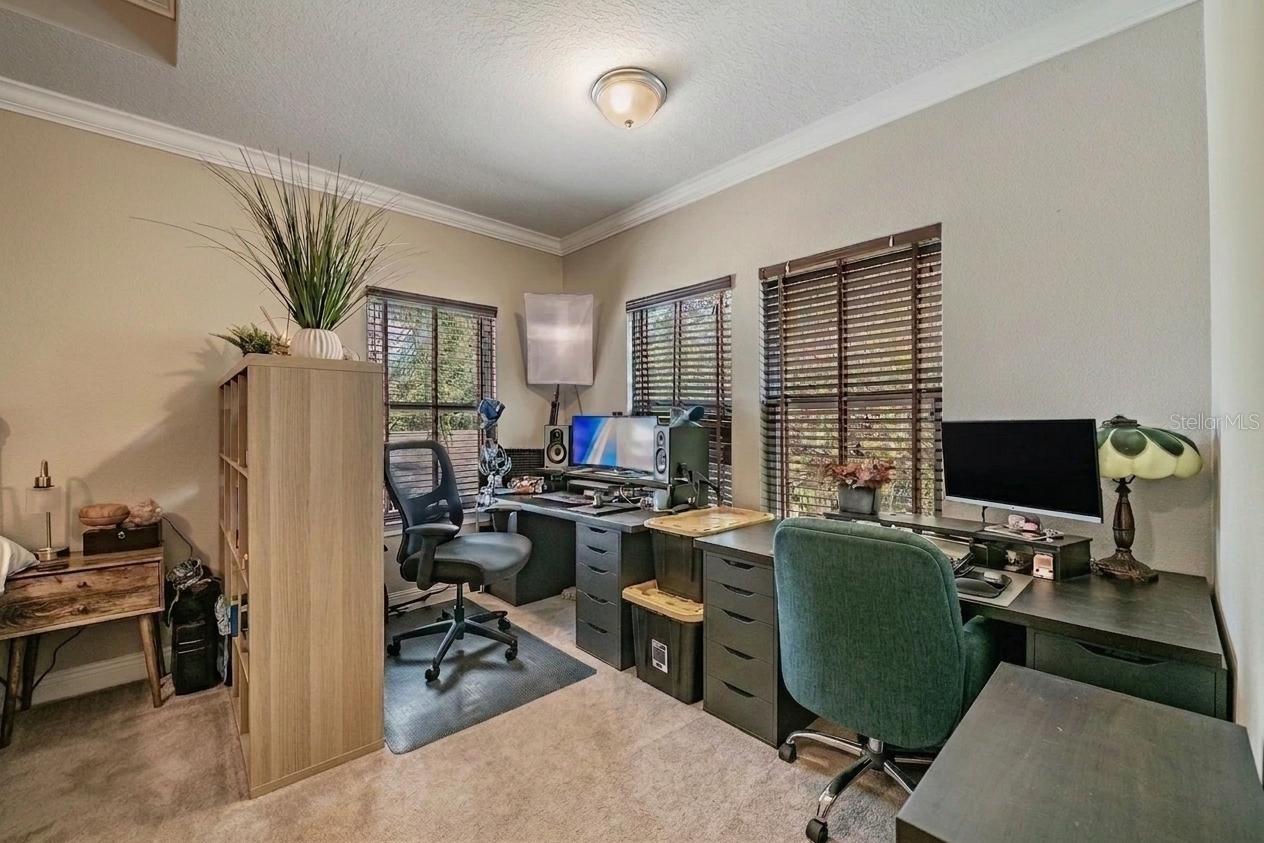 3007 W PALMIRA AVE, TAMPA, FL, 33629