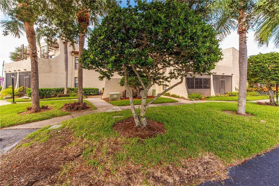 2571 CYPRUS DR #1-204, PALM HARBOR, FL, 34684
